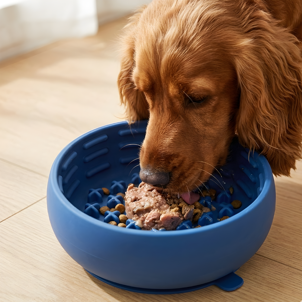 SteadyBite Silicone Slow Feeder Dog Bowl — Raised Grooves, Anti-Spill Rim