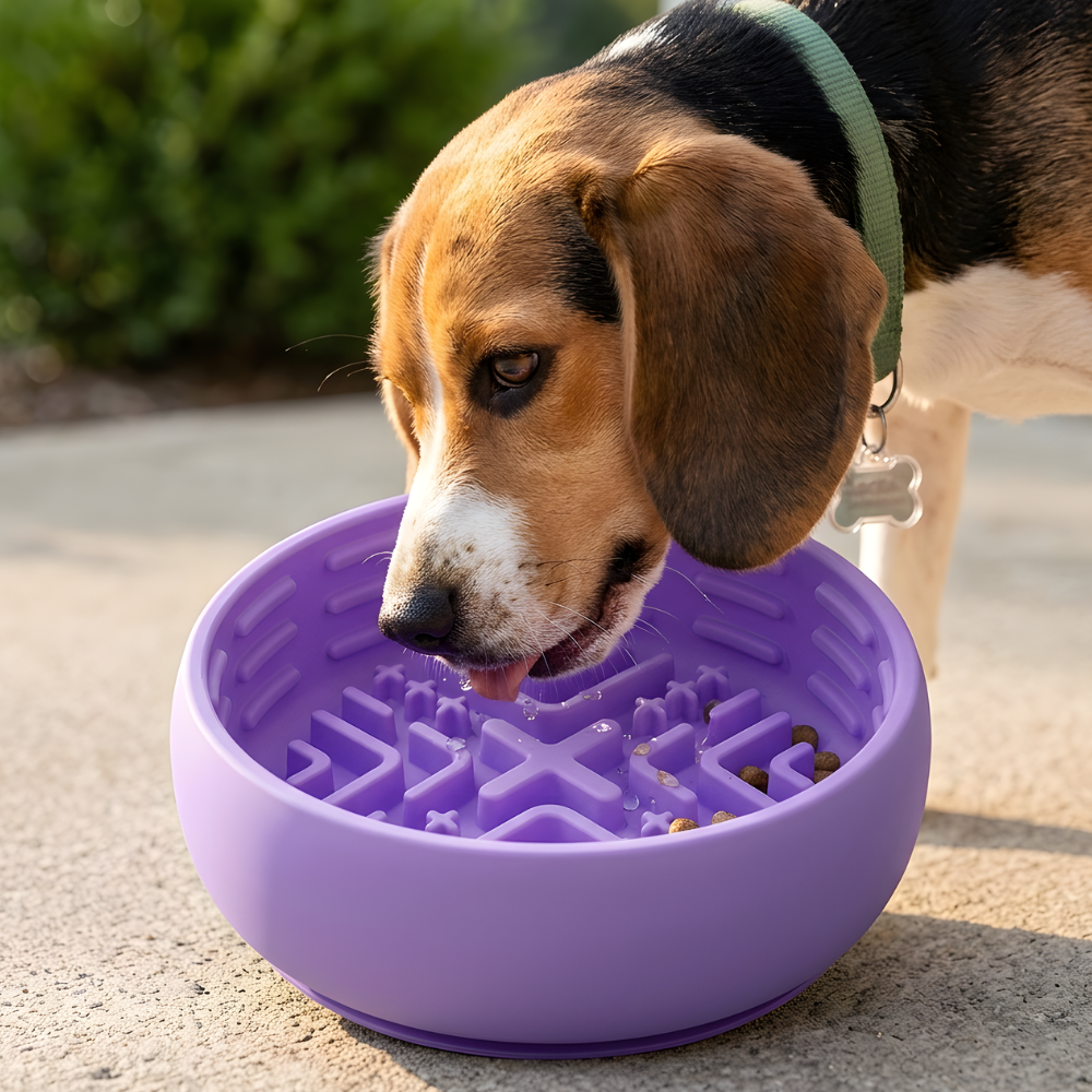SteadyBite Silicone Slow Feeder Dog Bowl — Raised Grooves, Anti-Spill Rim