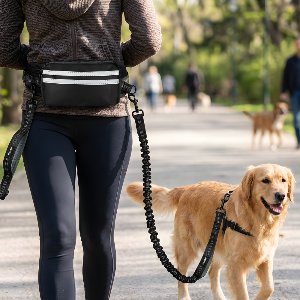 StrideLink Adjustable Hands-Free Bungee Dog Leash with Waist Belt