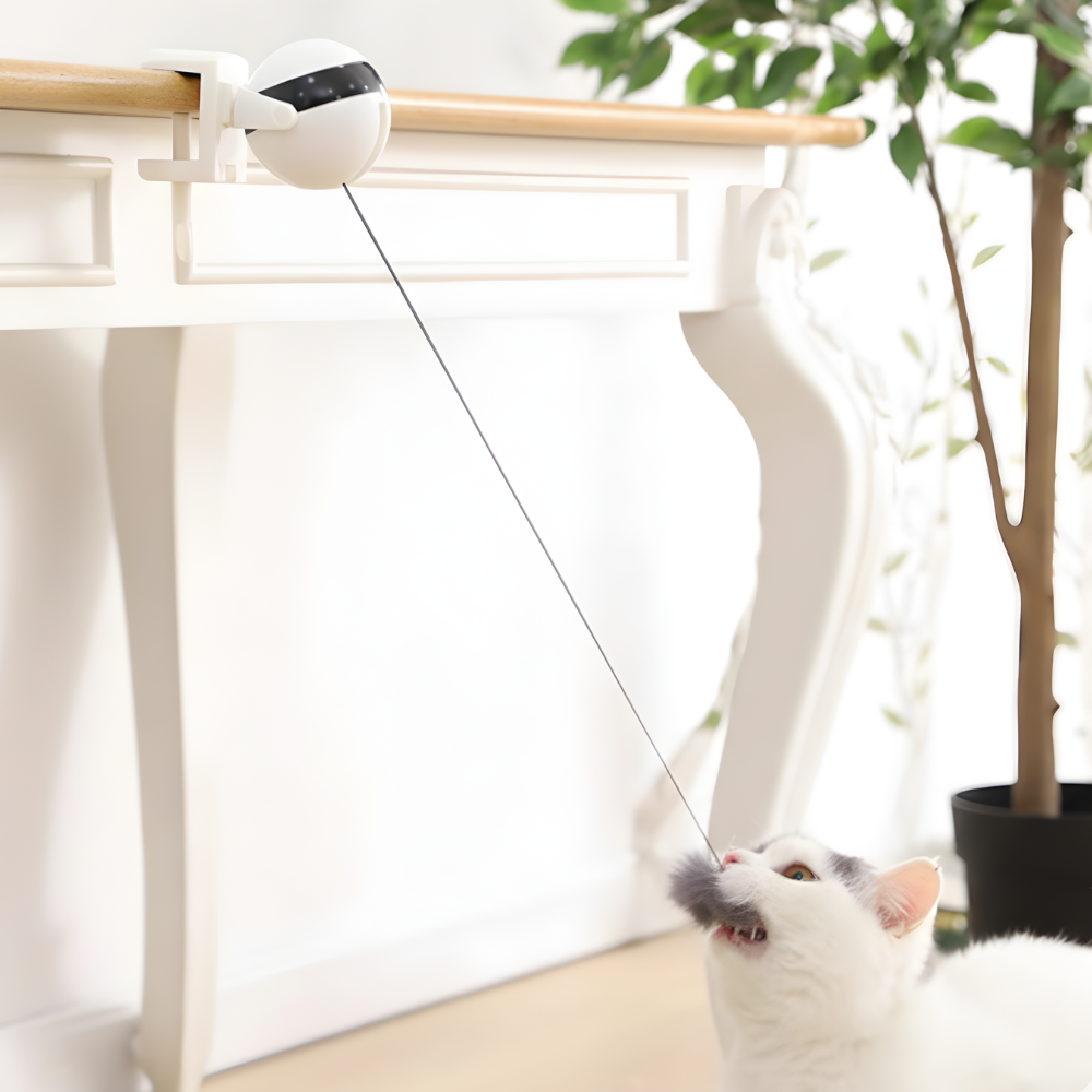 SwingPulse Motion-Activated Hanging Cat Toy — Swinging Teaser