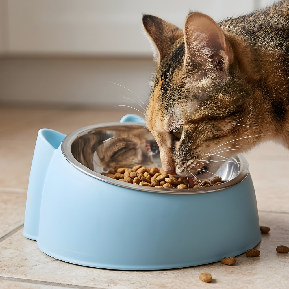 TiltBowl Removable Stainless Steel Angled Cat Feeding Bowl