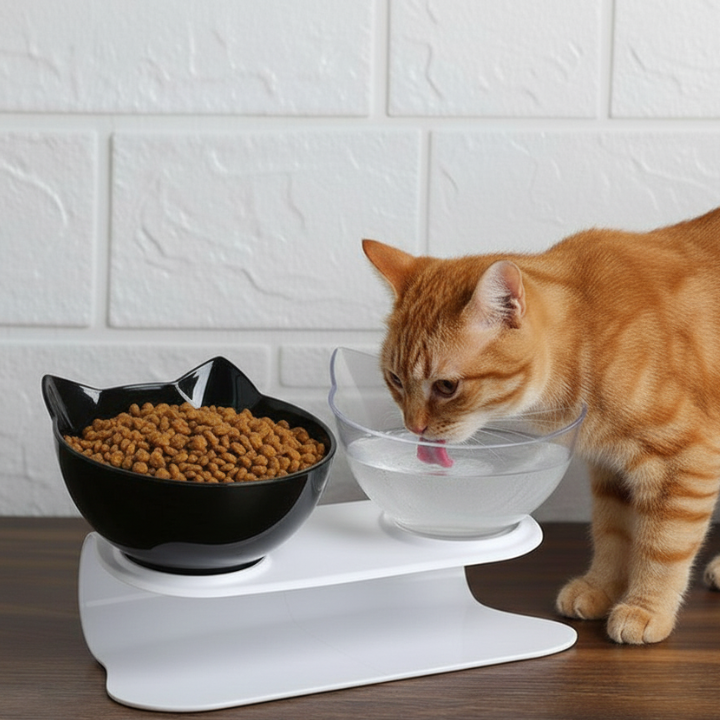TiltFeed Raised Cat Bowl — Angled Dish for Comfortable Feeding