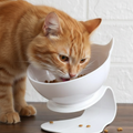 TiltFeed Raised Cat Bowl — Angled Dish for Comfortable Feeding