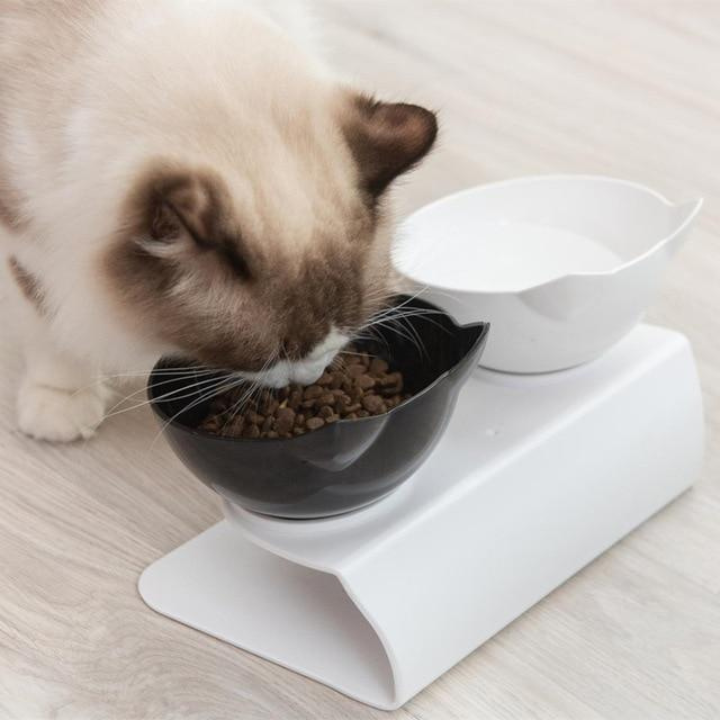 TiltFeed Raised Cat Bowl — Angled Dish for Comfortable Feeding