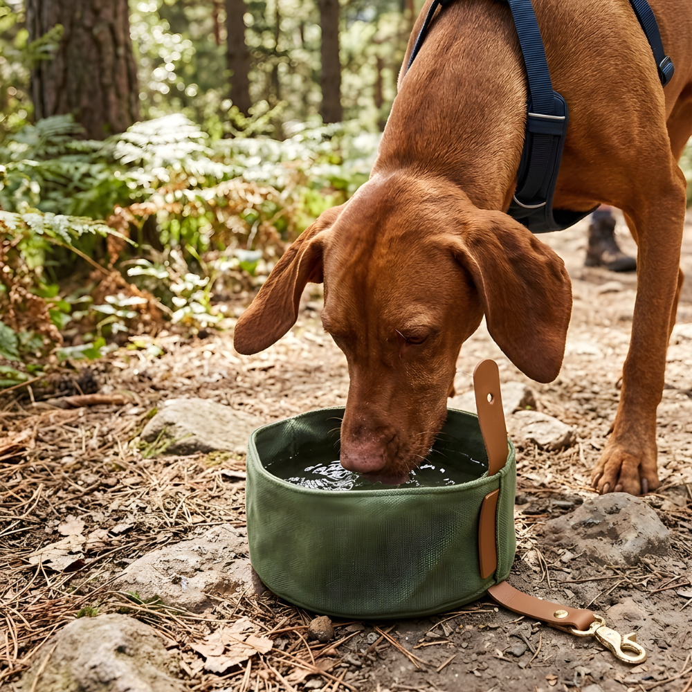 TrailSip Foldable Dog Travel Bowl — Flat-Pack Feeding Dish