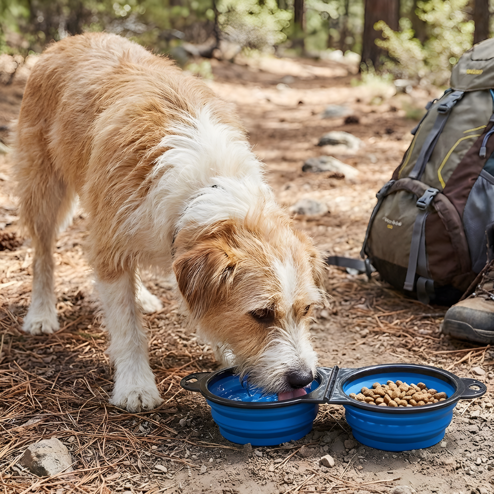 TravelTails 2 in 1 Foldable Pet Bowl — Compact Travel Feeder