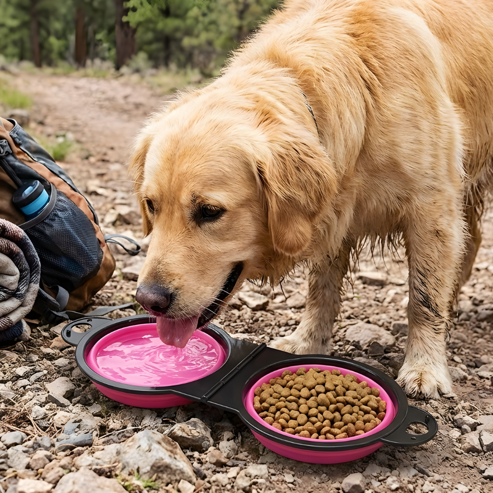 TravelTails 2 in 1 Foldable Pet Bowl — Compact Travel Feeder