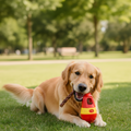 TreatTumbler Rolling Puzzle Treat Dispenser Dog Toy