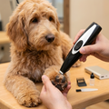 TrimEase Compact Dog Grooming Trimmer — Precision Narrow Head