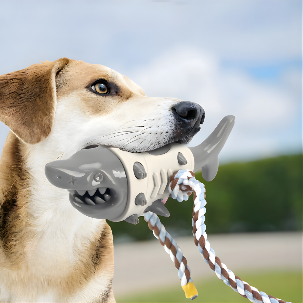 TugFin Shark Dental Chew Toy — Treat-Dispensing Design