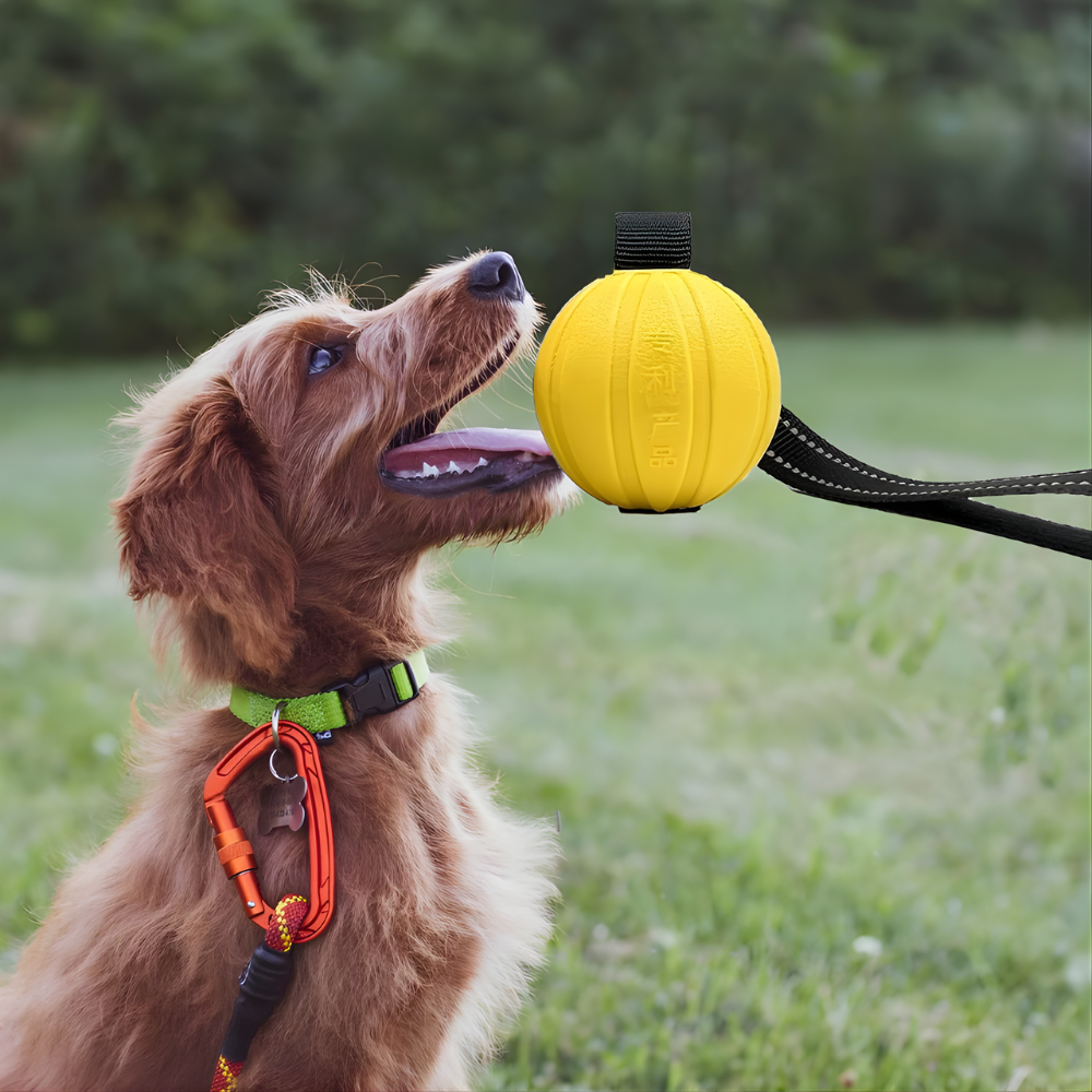 TugSphere Heavy Duty Ball-on-Rope Dog Toy for Tug & Chase