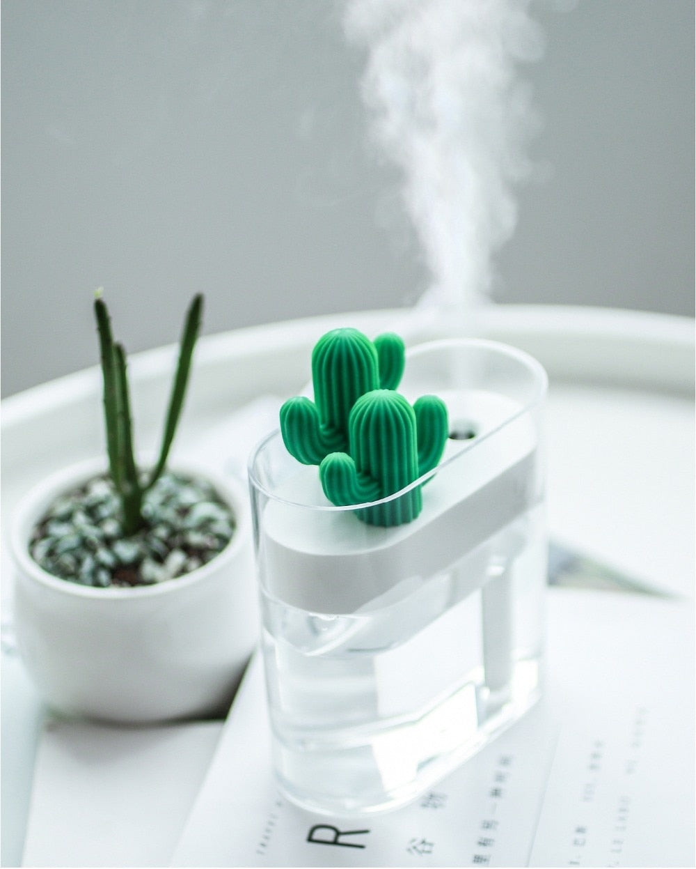 AromaVida Ultrasonic Cactus Aroma Diffuser, LED Light, 160ml