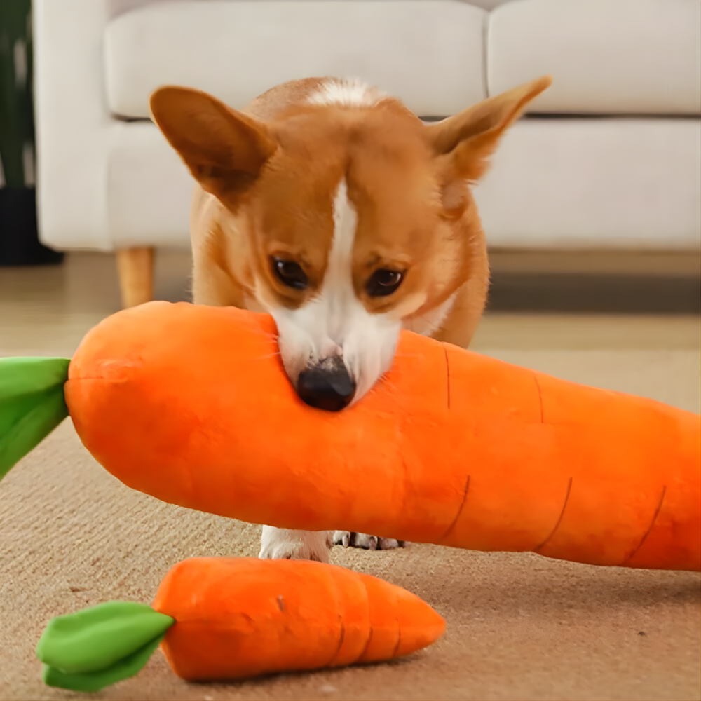 CarroPlay Plush Dog Toy — Soft Squeaker Interactive Play