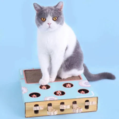 WhackNest Interactive Pop-Up Cardboard Cat Scratcher Toy
