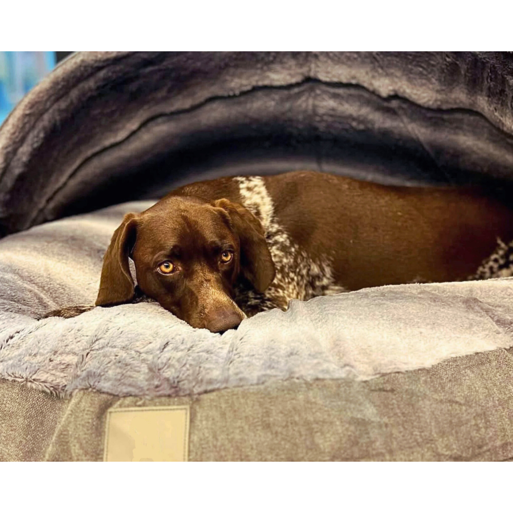 PawHaven カバー付き犬用ドームベッド - クッション入りフード付きソファ