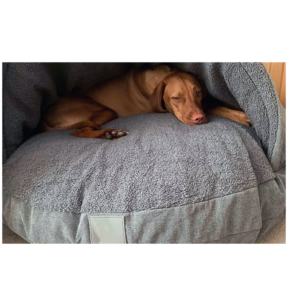 PawHaven カバー付き犬用ドームベッド - クッション入りフード付きソファ