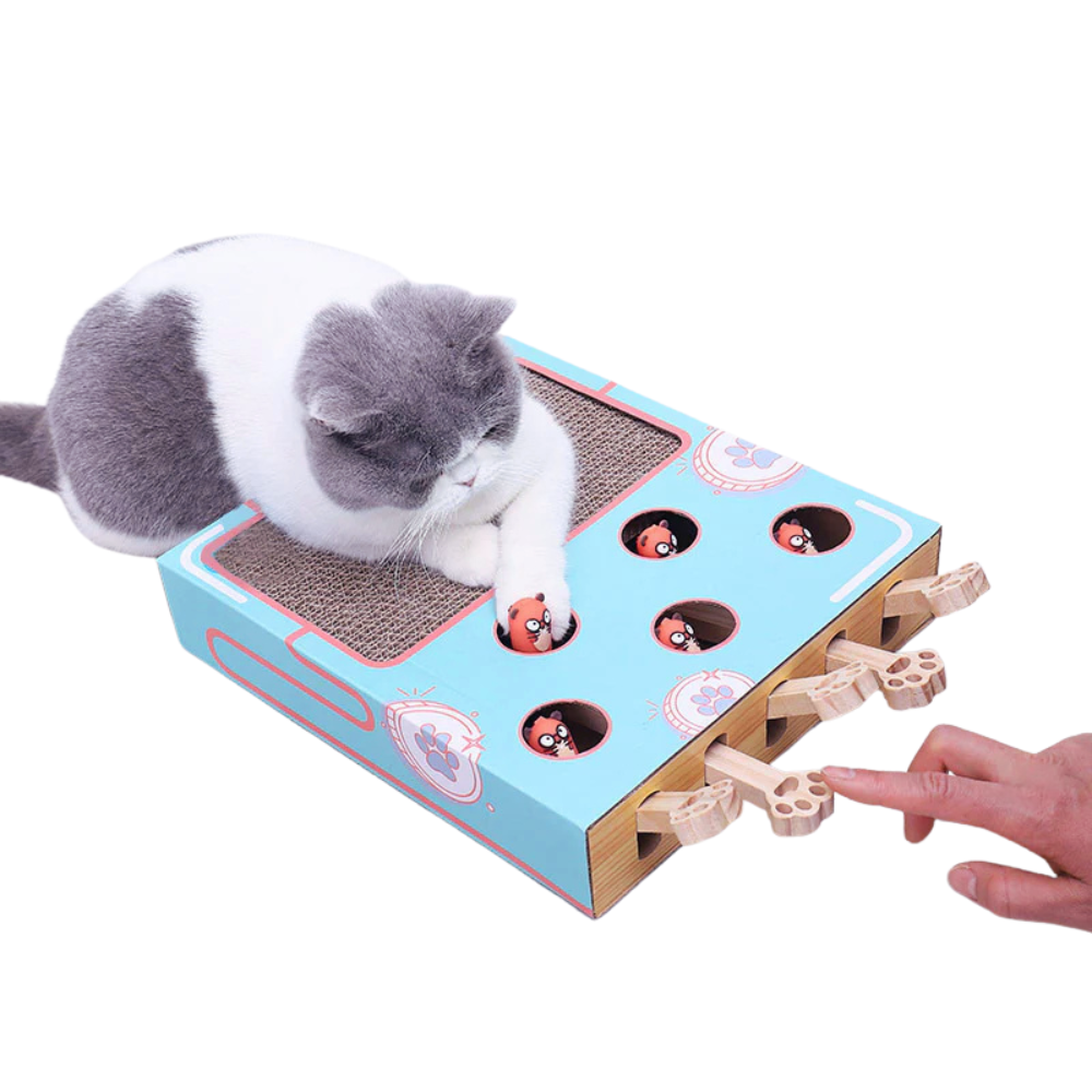 WhackNest Interactive Pop-Up Cardboard Cat Scratcher Toy