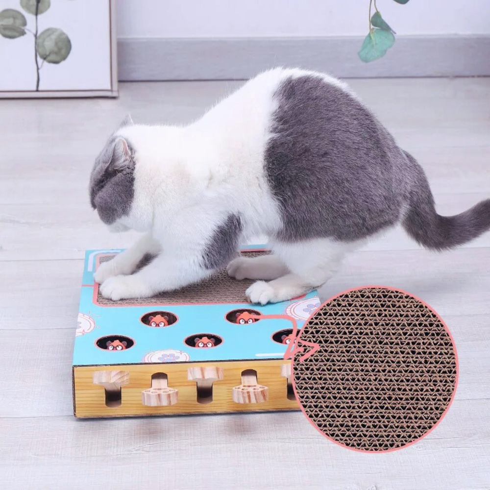 WhackNest Interactive Pop-Up Cardboard Cat Scratcher Toy