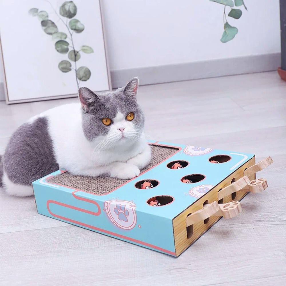 WhackNest Interactive Pop-Up Cardboard Cat Scratcher Toy