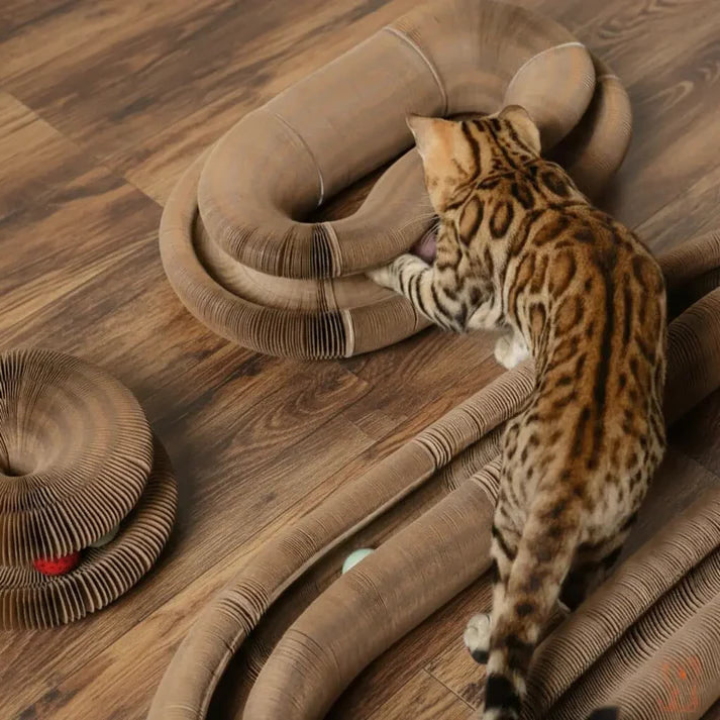 WhirlNest Cat Toy — Circular Track with Built-In Scratching Pad