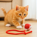 WhiskerDash Interactive Rolling Cat Ball Toy with Rope