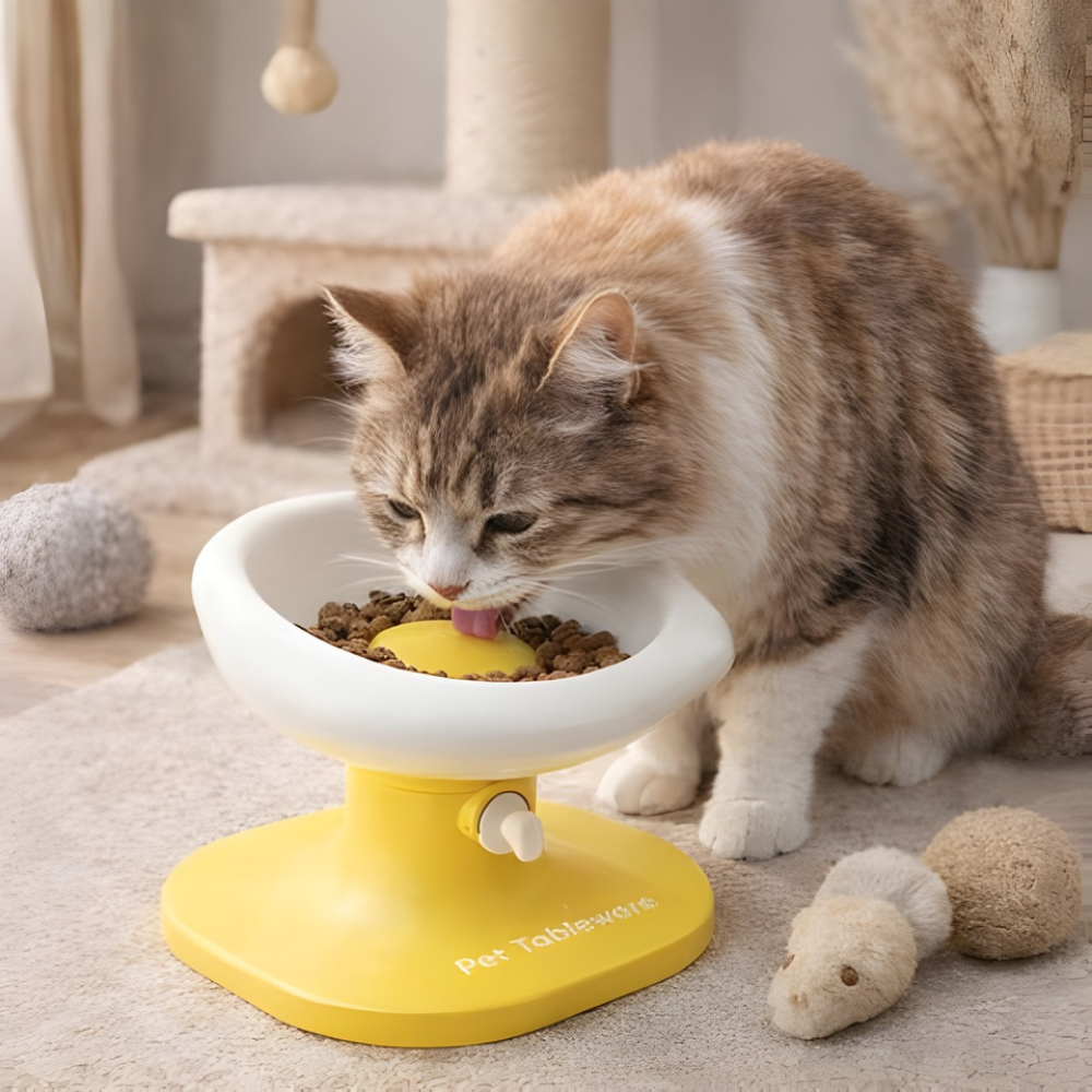 YolkRise Adjustable Cat Feeding Bowl — Ergonomic Raised Design