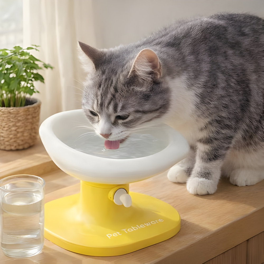 YolkRise Adjustable Cat Feeding Bowl — Ergonomic Raised Design