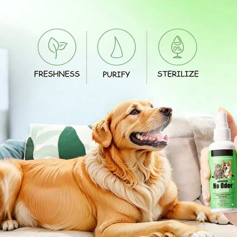 PurePaw — Sparkling Fresh Breath and Effortless Smiles for Your Beloved Pet - Esilora