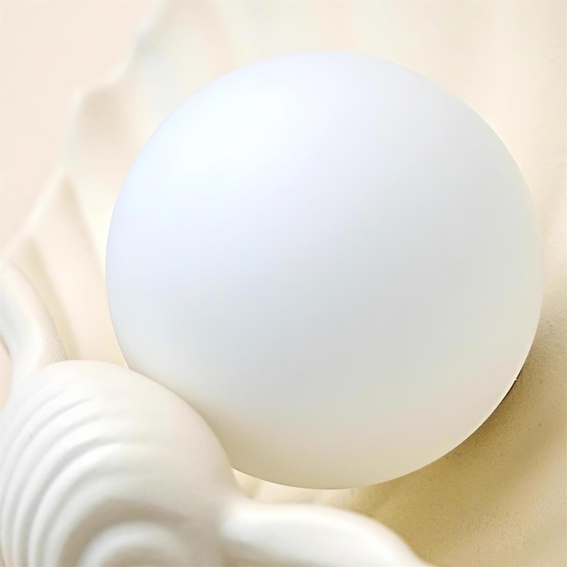 Nautris Shell Wall Lamp - Vintage Resin Lamp for Living Room | Esilora
