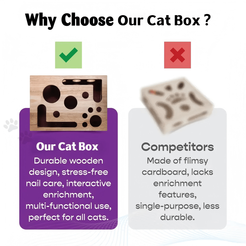 Stress-Free Nail Care for Cats - Fun Grooming Experience - Esilora