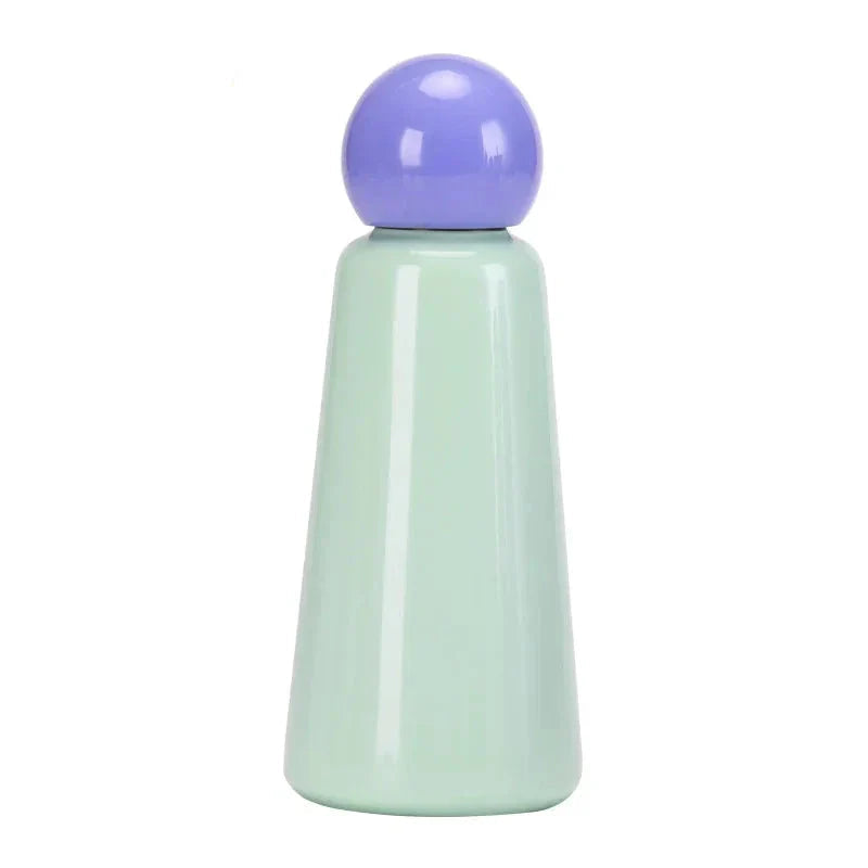 Insulated Water Bottle for All-Day Temperature Control