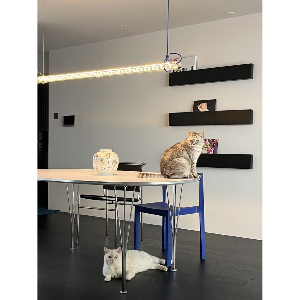 Tubular Linear LED Pendant Lamp | Esilora