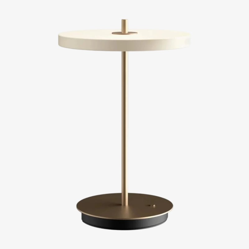 Astris Sculptural Modern Minimalist Metal Table Lamp for Living Room and Office | Esilora