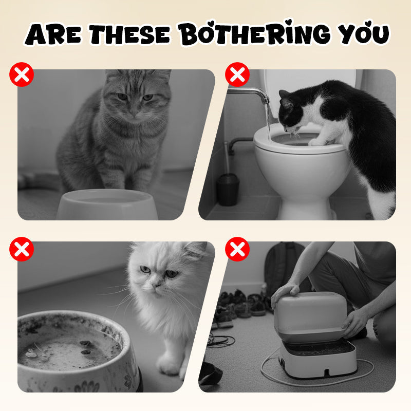 Stylish Cat Food Holder – Transform Mealtime into an Elegant Highlight - Esilora