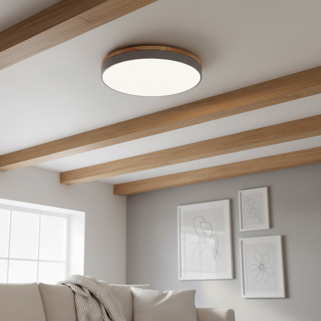 Lumiflexa Sleek Profile Modern Ceiling Lamp - Scandinavian Design for Bedroom and Kitchen | Esilora