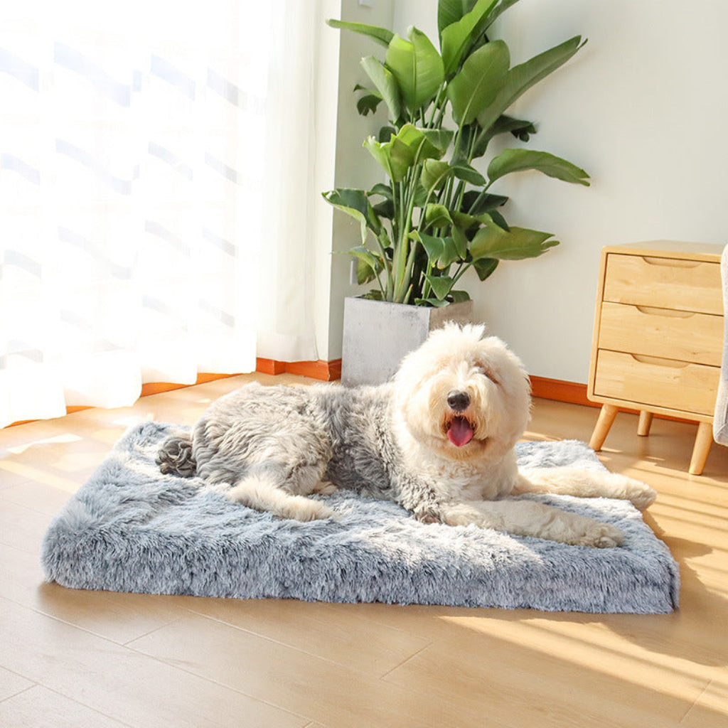 Orthopedic Dog Cushion — Washable, Raised Edge Support