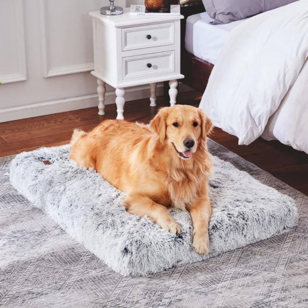 Orthopedic Dog Cushion — Washable, Raised Edge Support