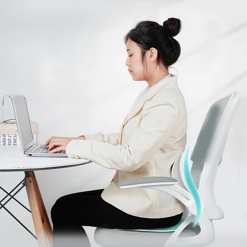 Back Support Cushion for Office Chair Comfort