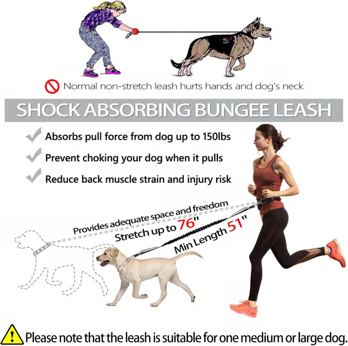 Soft Control Dog Leash for Relaxed Walks Without Jerking - Esilora