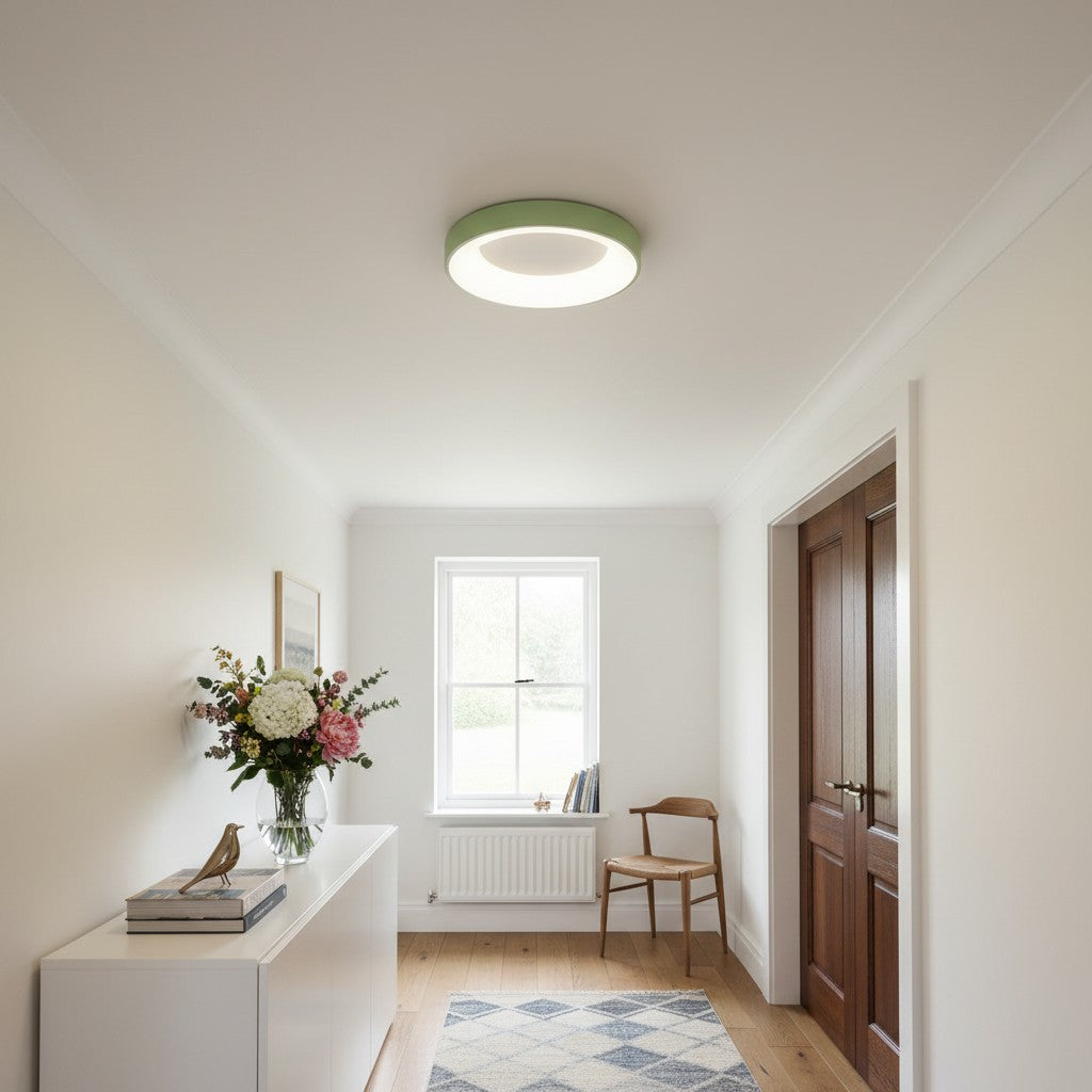 Lumiflexa Sleek Circle Ceiling Lamp - Minimalist Design for Modern Living Rooms | Esilora