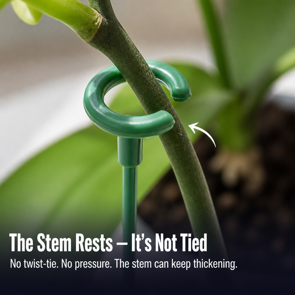 PrismBloom — Catch Your Orchid Spike Before It Snaps in Two - Esilora
