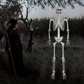 Figurină schelet de Halloween la dimensiune naturală — Plastic rezistent la intemperii, 6 ft