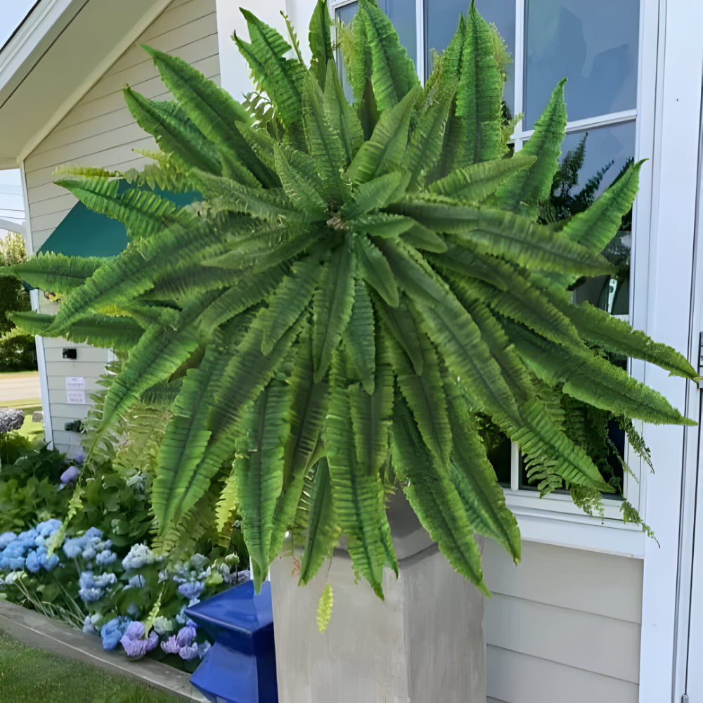 Plantă artificială suspendată, ferigă Boston - frunziș verde realist