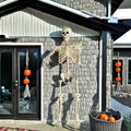 1.6m plastová dekorativní figurína halloweenské kostry v životní velikosti