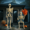 XXL 165 cm große Halloween-Skelettfigur — Wetterbeständige Outdoor-Dekoration