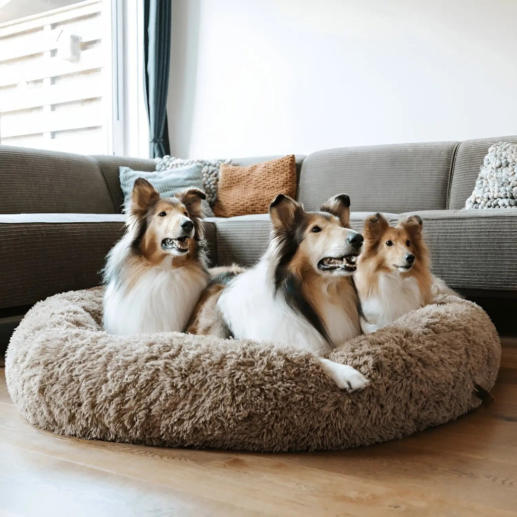 Rundes, beruhigendes Hundebettkissen - weiches, kuscheliges Nest-Design