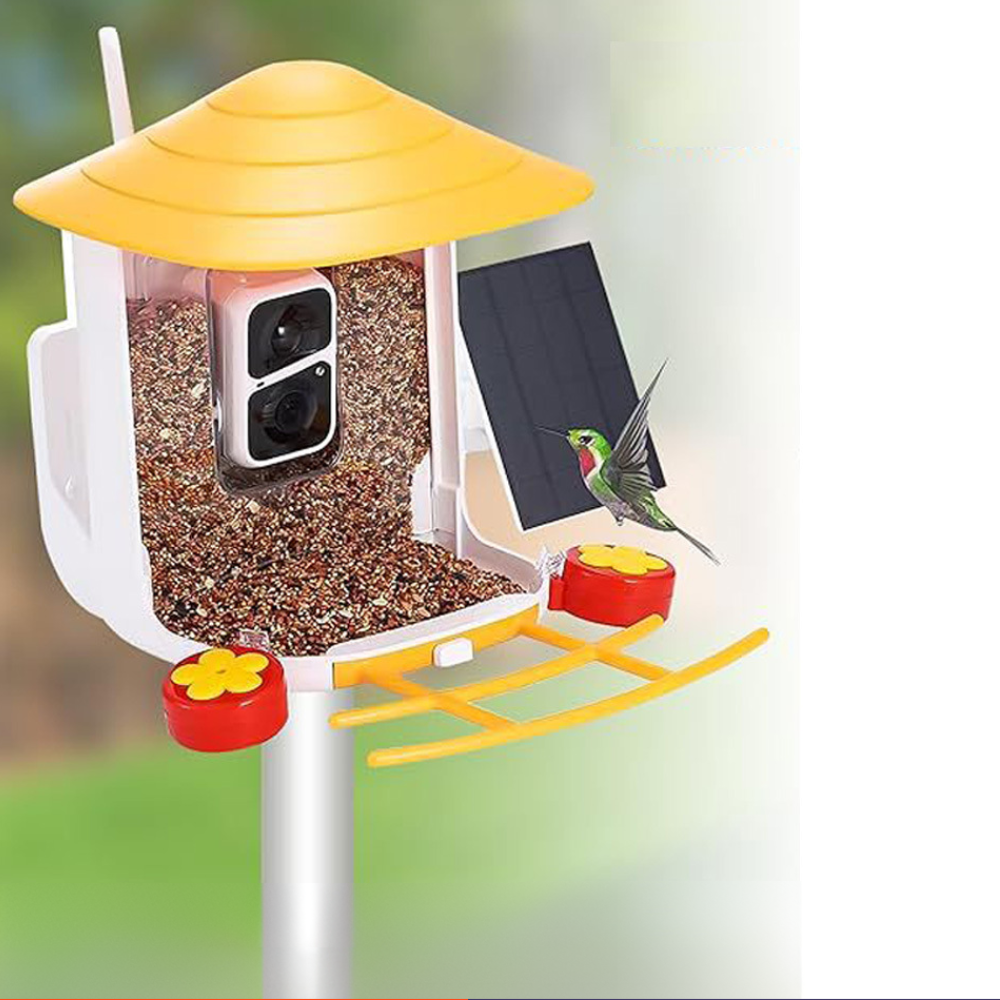 Câmara para casa de pássaros com Wi-Fi alimentada por energia solar