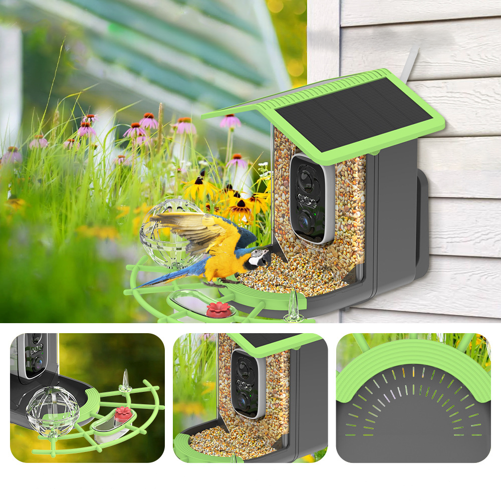 Câmara para casa de pássaros com Wi-Fi alimentada por energia solar