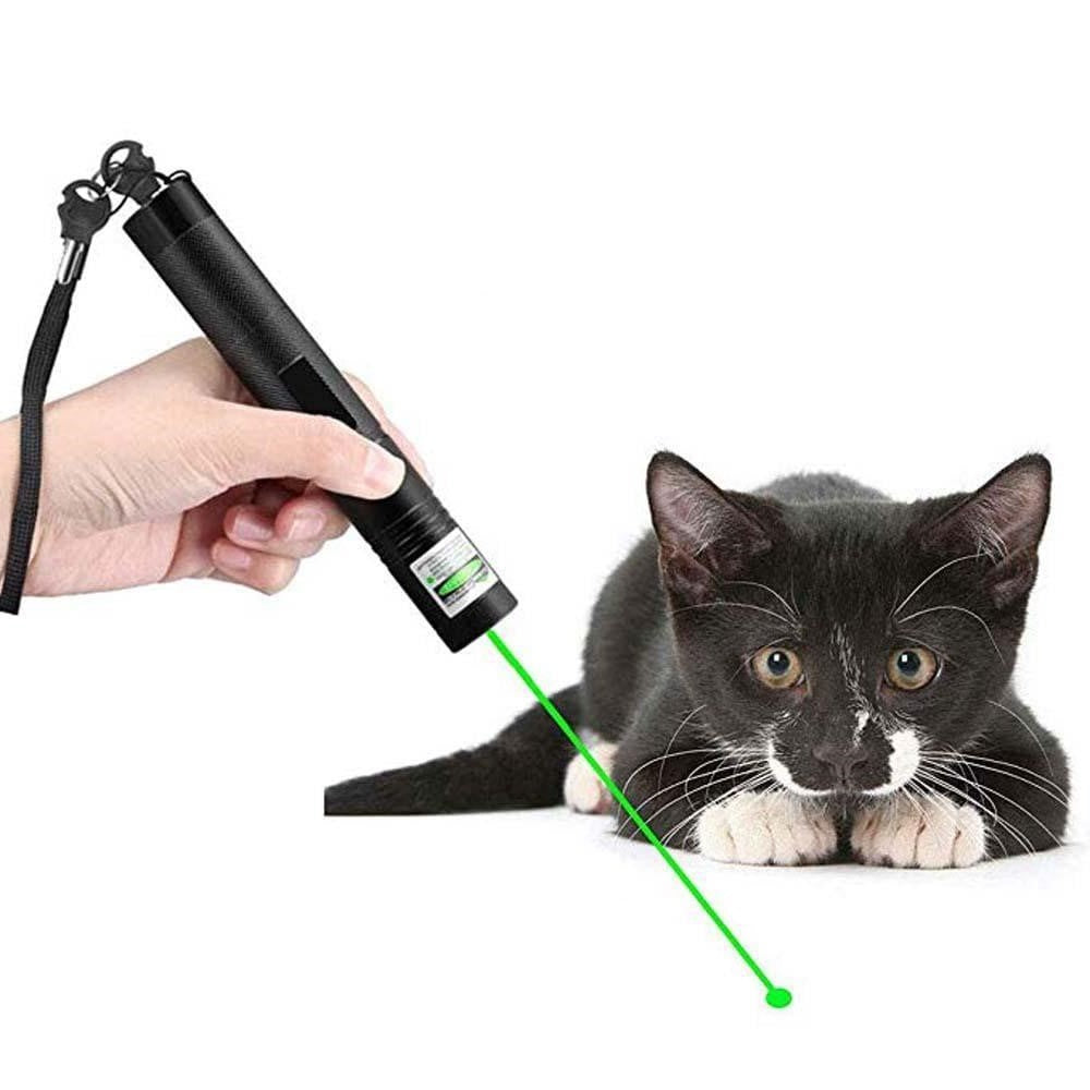 LumenForge Elite High-Performance Laser Pointer 303