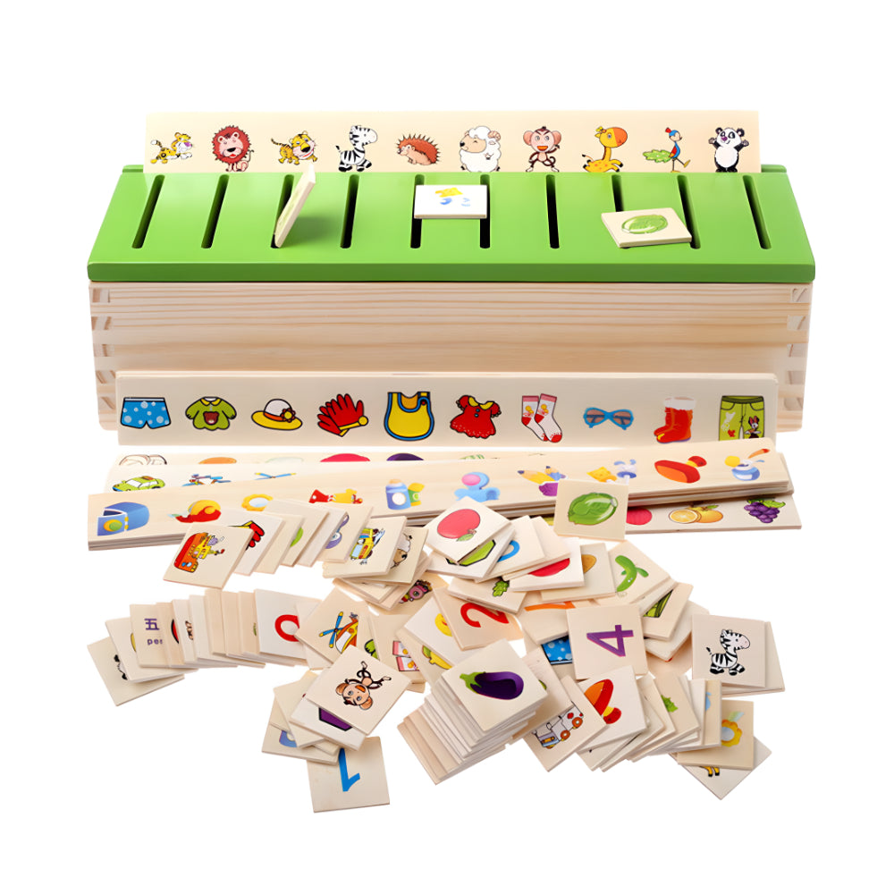Wooden Color and Shape Sorting Toy